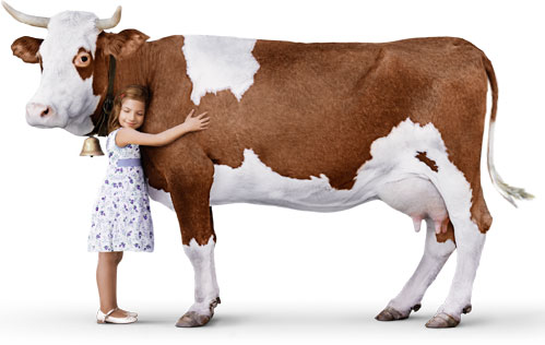 milka.jpg